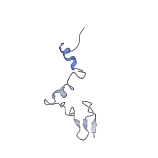 3893_6em1_j_v1-0
State C (Nsa1-TAP Flag-Ytm1) - Visualizing the assembly pathway of nucleolar pre-60S ribosomes