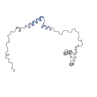 3893_6em1_m_v1-0
State C (Nsa1-TAP Flag-Ytm1) - Visualizing the assembly pathway of nucleolar pre-60S ribosomes