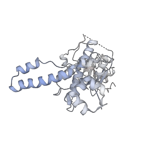 3893_6em1_n_v1-0
State C (Nsa1-TAP Flag-Ytm1) - Visualizing the assembly pathway of nucleolar pre-60S ribosomes