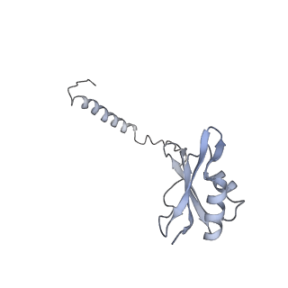 3893_6em1_o_v1-0
State C (Nsa1-TAP Flag-Ytm1) - Visualizing the assembly pathway of nucleolar pre-60S ribosomes