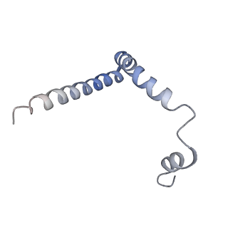 3893_6em1_r_v1-0
State C (Nsa1-TAP Flag-Ytm1) - Visualizing the assembly pathway of nucleolar pre-60S ribosomes