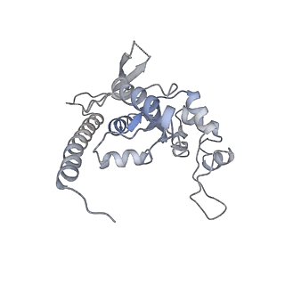 3893_6em1_t_v1-0
State C (Nsa1-TAP Flag-Ytm1) - Visualizing the assembly pathway of nucleolar pre-60S ribosomes