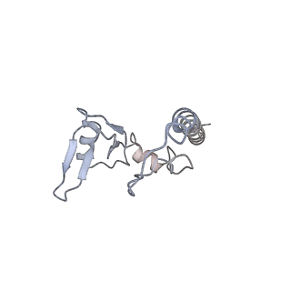 3893_6em1_u_v1-0
State C (Nsa1-TAP Flag-Ytm1) - Visualizing the assembly pathway of nucleolar pre-60S ribosomes