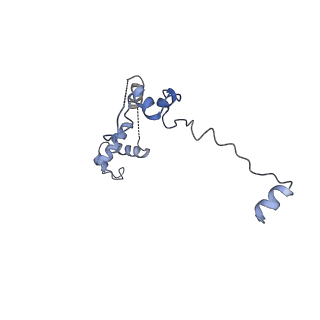 3893_6em1_v_v1-0
State C (Nsa1-TAP Flag-Ytm1) - Visualizing the assembly pathway of nucleolar pre-60S ribosomes
