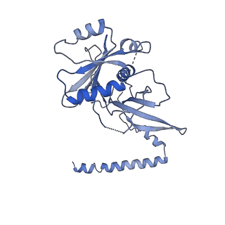 3893_6em1_x_v1-0
State C (Nsa1-TAP Flag-Ytm1) - Visualizing the assembly pathway of nucleolar pre-60S ribosomes