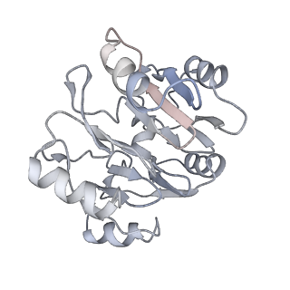 3893_6em1_y_v1-0
State C (Nsa1-TAP Flag-Ytm1) - Visualizing the assembly pathway of nucleolar pre-60S ribosomes