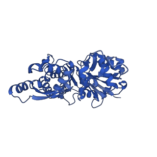 28270_8enc_B_v1-1
Helical reconstruction of the human cardiac actin-tropomyosin-myosin loop 4 7G mutant complex