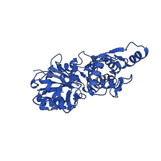 28270_8enc_D_v1-1
Helical reconstruction of the human cardiac actin-tropomyosin-myosin loop 4 7G mutant complex