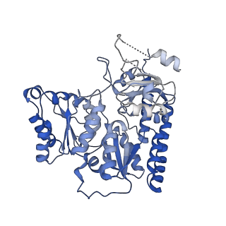 28274_8enn_A_v1-0
Homocitrate-deficient nitrogenase MoFe-protein from Azotobacter vinelandii nifV knockout