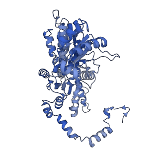 28274_8enn_B_v1-0
Homocitrate-deficient nitrogenase MoFe-protein from Azotobacter vinelandii nifV knockout