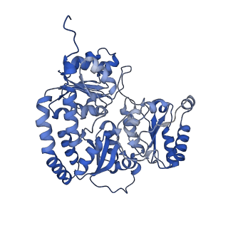 28274_8enn_C_v1-0
Homocitrate-deficient nitrogenase MoFe-protein from Azotobacter vinelandii nifV knockout