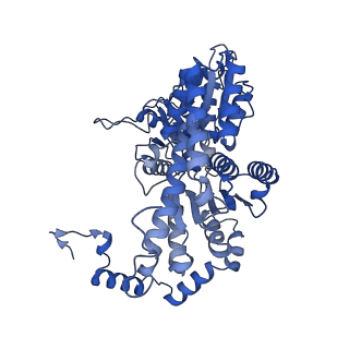 28274_8enn_D_v1-0
Homocitrate-deficient nitrogenase MoFe-protein from Azotobacter vinelandii nifV knockout
