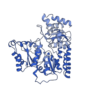 28275_8eno_A_v1-0
Homocitrate-deficient nitrogenase MoFe-protein from A. vinelandii nifV knockout in complex with NafT