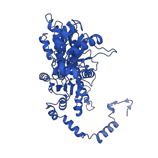 28275_8eno_B_v1-0
Homocitrate-deficient nitrogenase MoFe-protein from A. vinelandii nifV knockout in complex with NafT