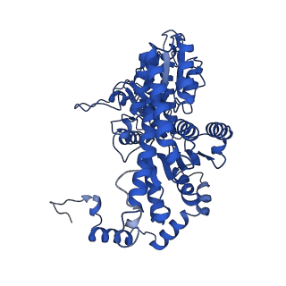 28275_8eno_D_v1-0
Homocitrate-deficient nitrogenase MoFe-protein from A. vinelandii nifV knockout in complex with NafT