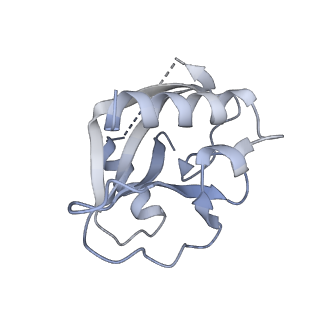 28275_8eno_E_v1-0
Homocitrate-deficient nitrogenase MoFe-protein from A. vinelandii nifV knockout in complex with NafT