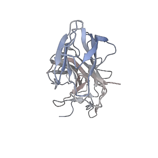 28279_8enu_A_v1-0
Structure of the C3bB proconvertase in complex with lufaxin