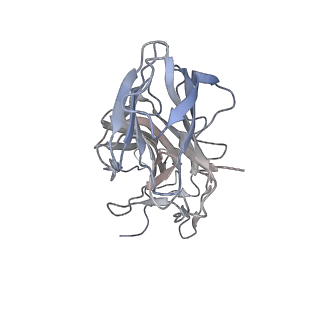 28279_8enu_A_v1-1
Structure of the C3bB proconvertase in complex with lufaxin