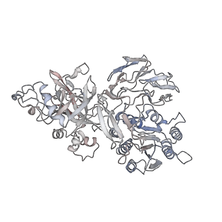 28279_8enu_D_v1-0
Structure of the C3bB proconvertase in complex with lufaxin