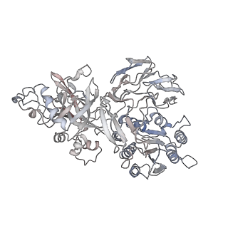 28279_8enu_D_v1-1
Structure of the C3bB proconvertase in complex with lufaxin