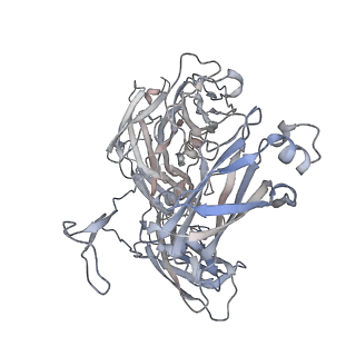 28279_8enu_G_v1-0
Structure of the C3bB proconvertase in complex with lufaxin