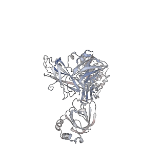 28279_8enu_H_v1-0
Structure of the C3bB proconvertase in complex with lufaxin