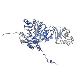 28280_8env_A_v1-0
In situ cryo-EM structure of Pseudomonas phage E217 tail baseplate in C6 map