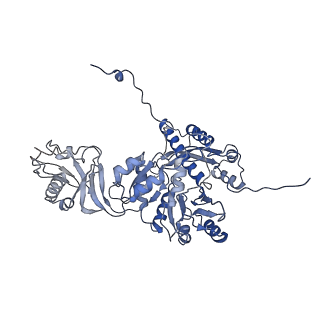 28280_8env_B_v1-0
In situ cryo-EM structure of Pseudomonas phage E217 tail baseplate in C6 map