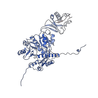 28280_8env_C_v1-0
In situ cryo-EM structure of Pseudomonas phage E217 tail baseplate in C6 map