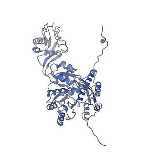 28280_8env_D_v1-0
In situ cryo-EM structure of Pseudomonas phage E217 tail baseplate in C6 map
