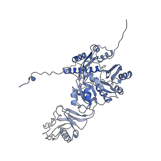 28280_8env_E_v1-0
In situ cryo-EM structure of Pseudomonas phage E217 tail baseplate in C6 map