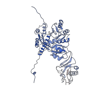 28280_8env_F_v1-0
In situ cryo-EM structure of Pseudomonas phage E217 tail baseplate in C6 map
