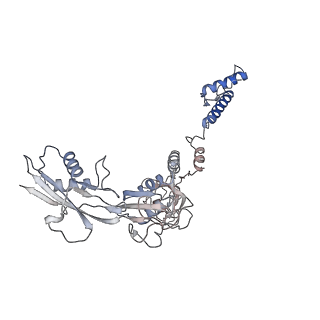 28280_8env_J_v1-0
In situ cryo-EM structure of Pseudomonas phage E217 tail baseplate in C6 map