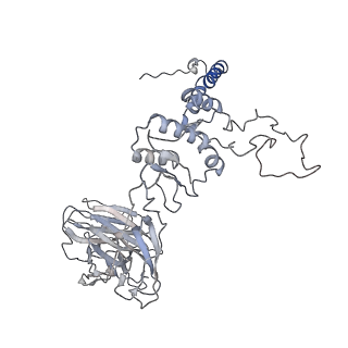 28280_8env_K_v1-0
In situ cryo-EM structure of Pseudomonas phage E217 tail baseplate in C6 map