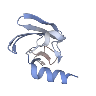 28280_8env_L_v1-0
In situ cryo-EM structure of Pseudomonas phage E217 tail baseplate in C6 map