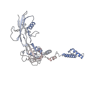 28280_8env_O_v1-0
In situ cryo-EM structure of Pseudomonas phage E217 tail baseplate in C6 map