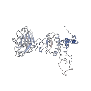 28280_8env_P_v1-0
In situ cryo-EM structure of Pseudomonas phage E217 tail baseplate in C6 map