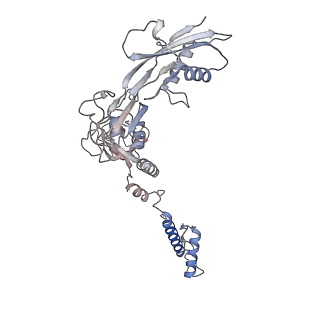 28280_8env_T_v1-0
In situ cryo-EM structure of Pseudomonas phage E217 tail baseplate in C6 map