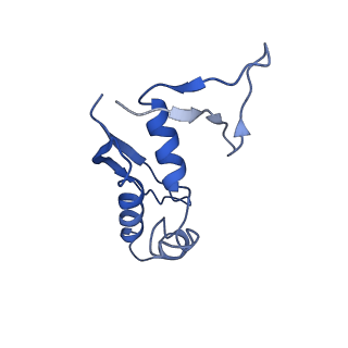 28280_8env_W_v1-0
In situ cryo-EM structure of Pseudomonas phage E217 tail baseplate in C6 map