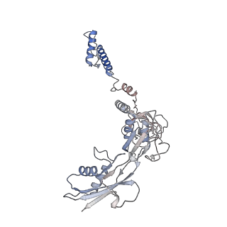 28280_8env_Y_v1-0
In situ cryo-EM structure of Pseudomonas phage E217 tail baseplate in C6 map