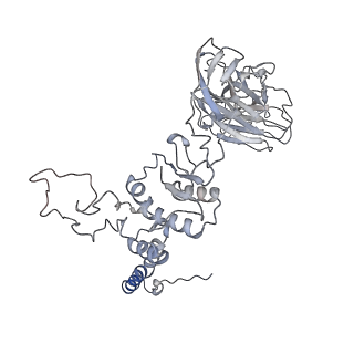 28280_8env_Z_v1-0
In situ cryo-EM structure of Pseudomonas phage E217 tail baseplate in C6 map