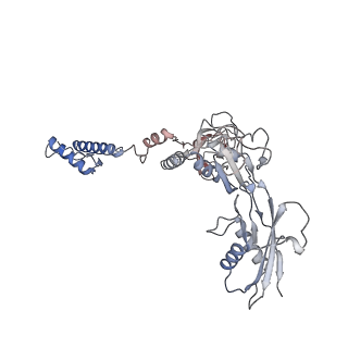28280_8env_d_v1-0
In situ cryo-EM structure of Pseudomonas phage E217 tail baseplate in C6 map