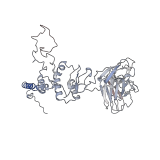 28280_8env_e_v1-0
In situ cryo-EM structure of Pseudomonas phage E217 tail baseplate in C6 map