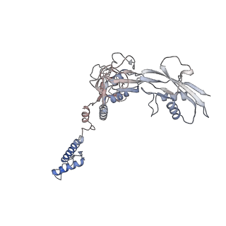 28280_8env_i_v1-0
In situ cryo-EM structure of Pseudomonas phage E217 tail baseplate in C6 map