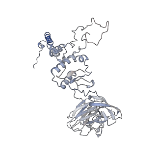 28280_8env_j_v1-0
In situ cryo-EM structure of Pseudomonas phage E217 tail baseplate in C6 map