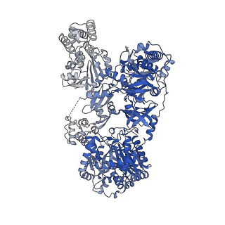 31199_7en1_A_v1-1
Pyochelin synthetase, a dimeric nonribosomal peptide synthetase elongation module-after-condensation