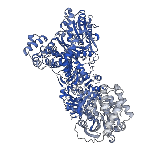 31199_7en1_B_v1-1
Pyochelin synthetase, a dimeric nonribosomal peptide synthetase elongation module-after-condensation