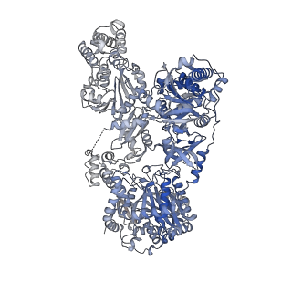 31200_7en2_A_v1-1
Pyochelin synthetase, a dimeric nonribosomal peptide synthetase elongation module-after-condensation, condensation
