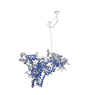 31204_7ena_PA_v1-1
TFIID-based PIC-Mediator holo-complex in pre-assembled state (pre-hPIC-MED)