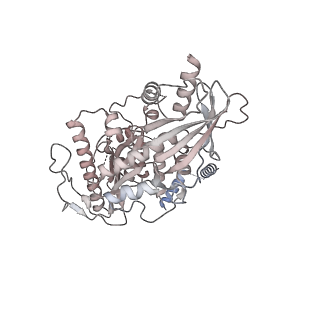 31204_7ena_a_v1-1
TFIID-based PIC-Mediator holo-complex in pre-assembled state (pre-hPIC-MED)